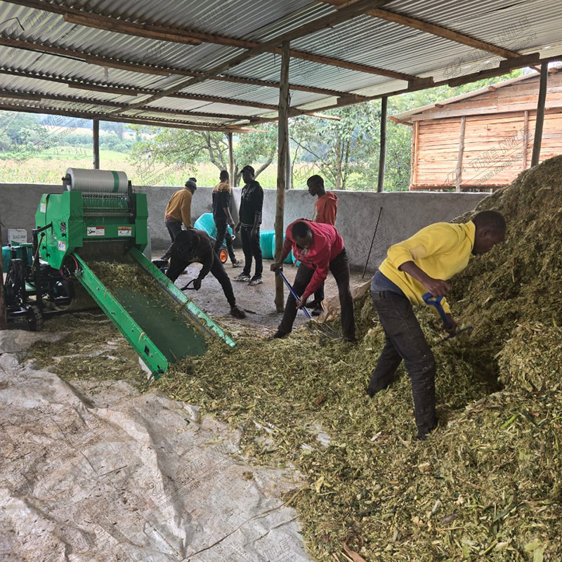 Silage Baler Machine - China Corn Silage Grass Harvester Electric