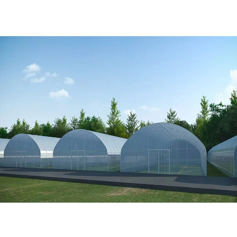 # l Low Cost Farm Singlespan G - Organic Farming Of Agriculture บทวิจารณ์และราคา