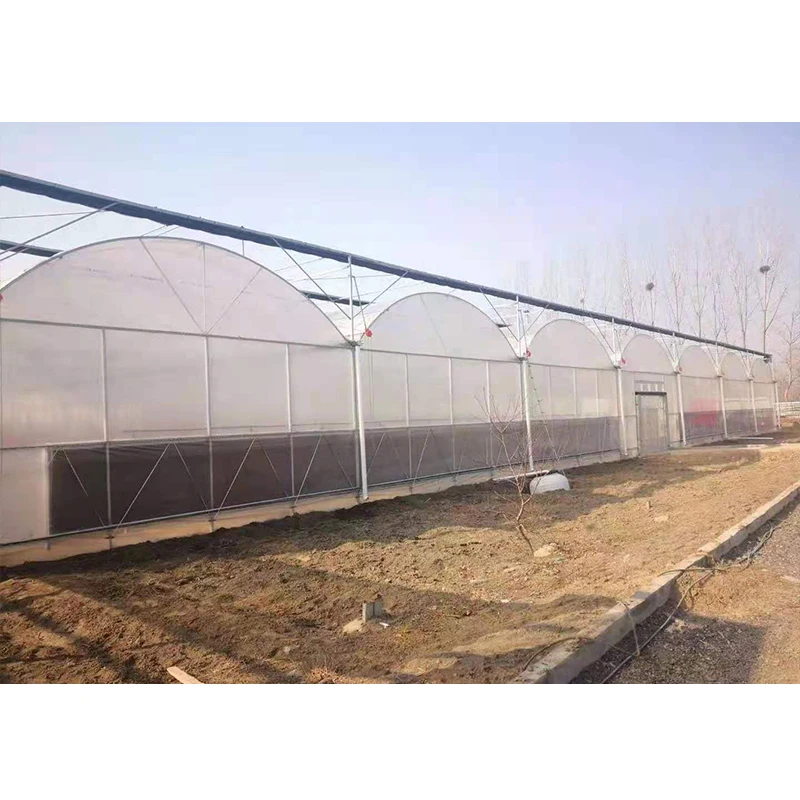# l Low Cost Farm Singlespan G - Organic Farming Of Agriculture บทวิจารณ์และราคา