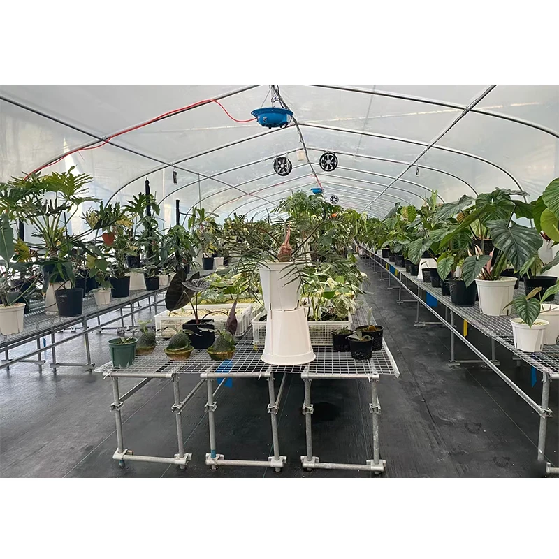 # l Low Cost Farm Singlespan G - Organic Farming Of Agriculture บทวิจารณ์และราคา