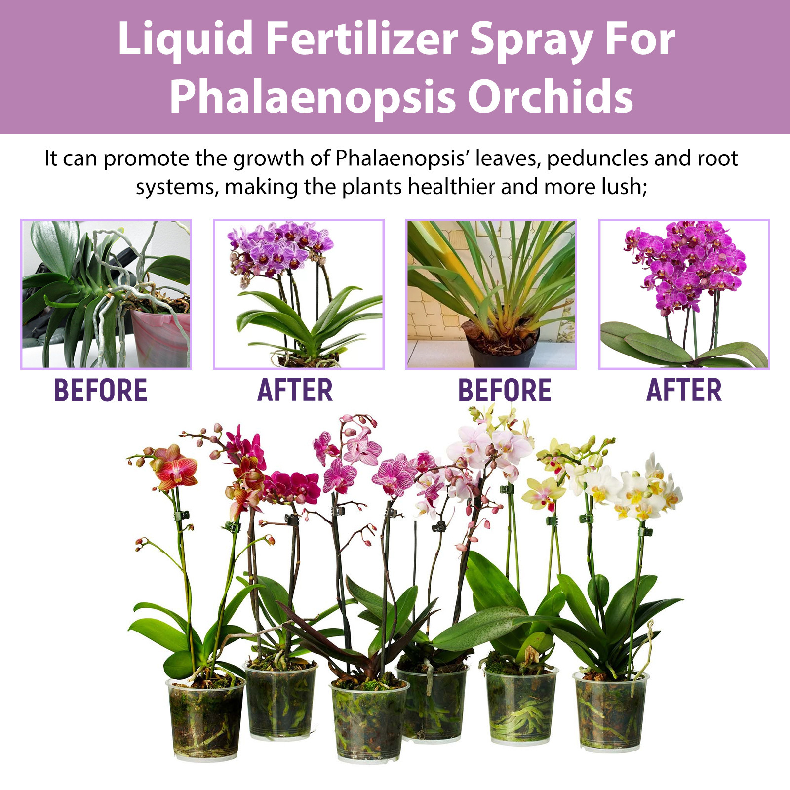 100ml Orchid Bloom Booster Spr - Orchard Sprayer Tractor บทวิจารณ์และราคา
