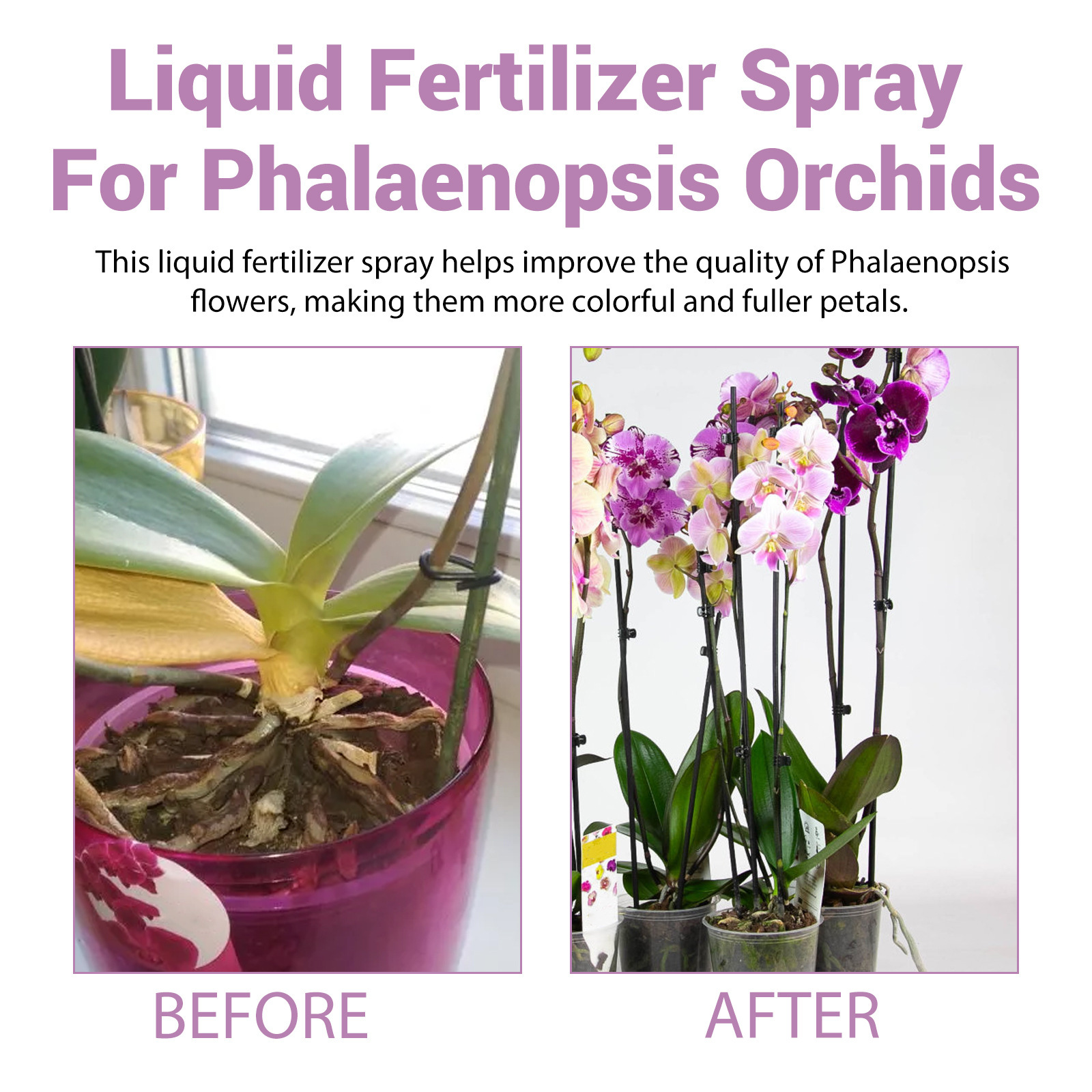 100ml Orchid Bloom Booster Spr - Orchard Sprayer Tractor บทวิจารณ์และราคา