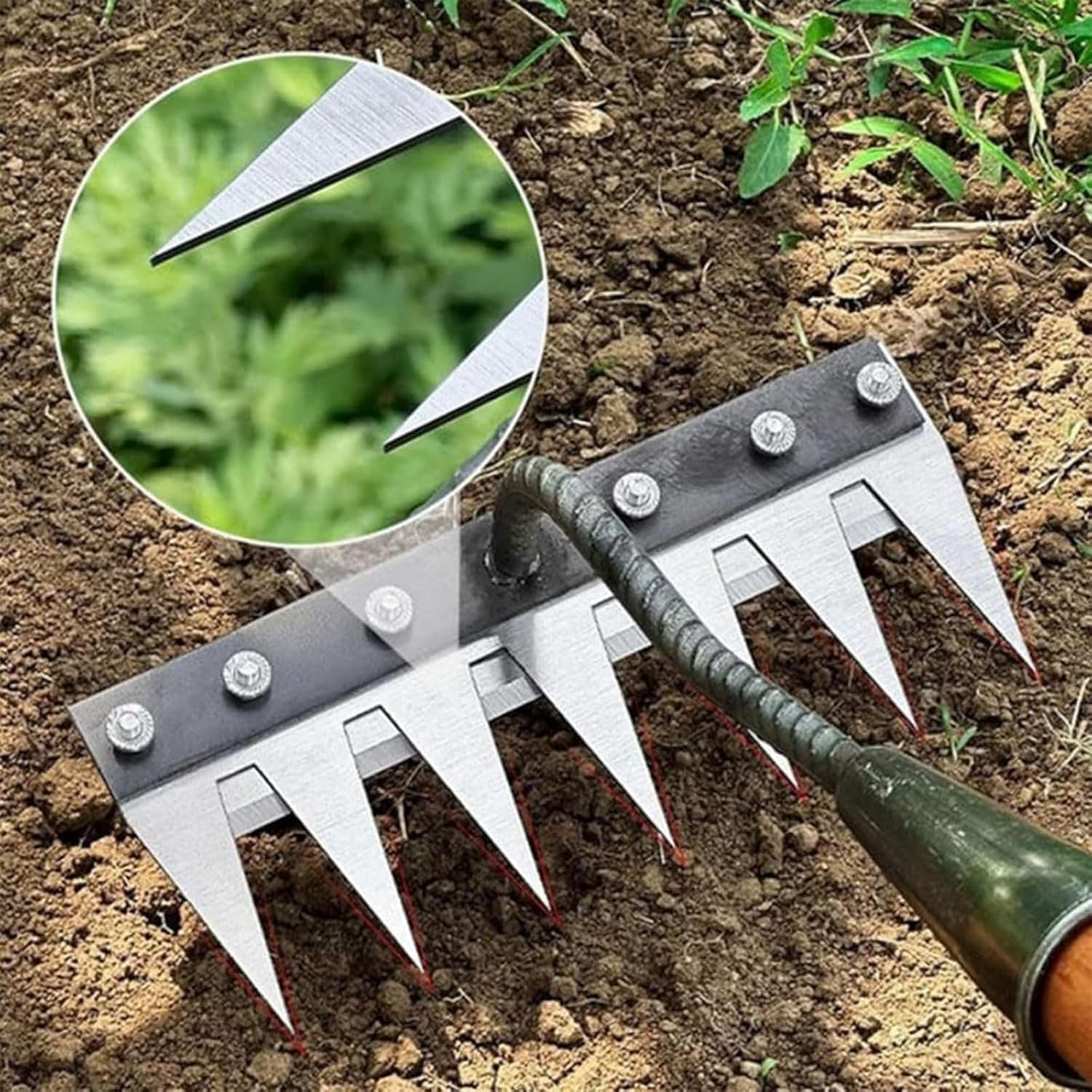 5/6/7/8 Teeth Metal Rake Garde - Agriculture Farming Hand Tools บทวิจารณ์และราคา