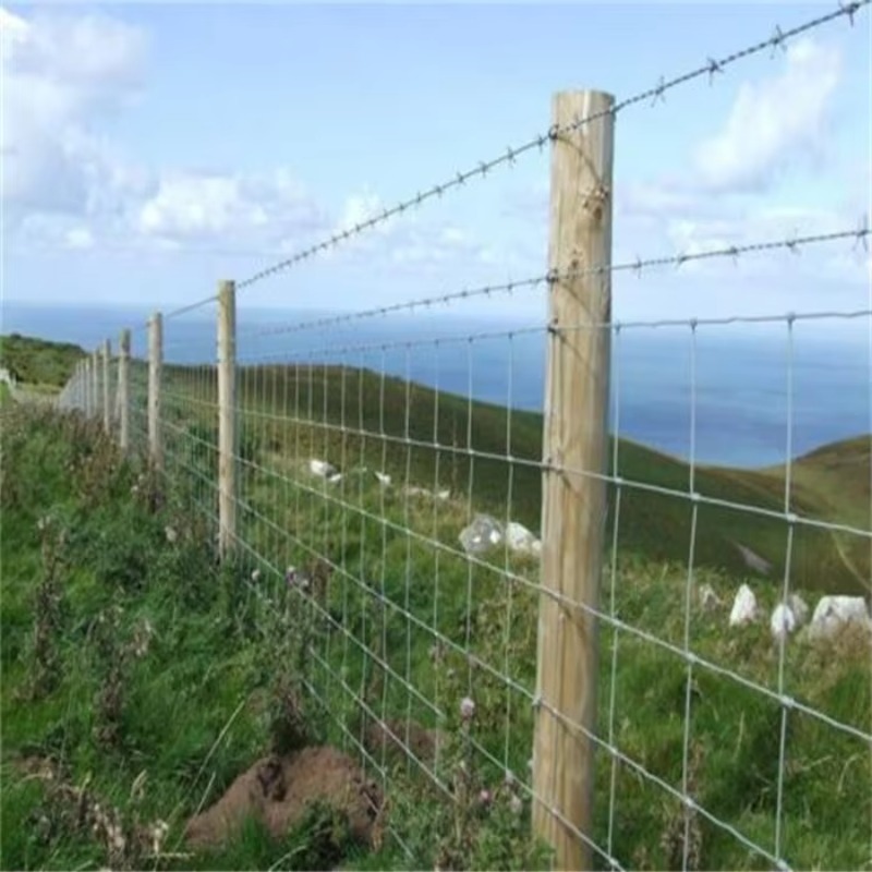 Customized Iron Wire Mesh Fixe - Agriculture Farming And Livestock บทวิจารณ์และราคา