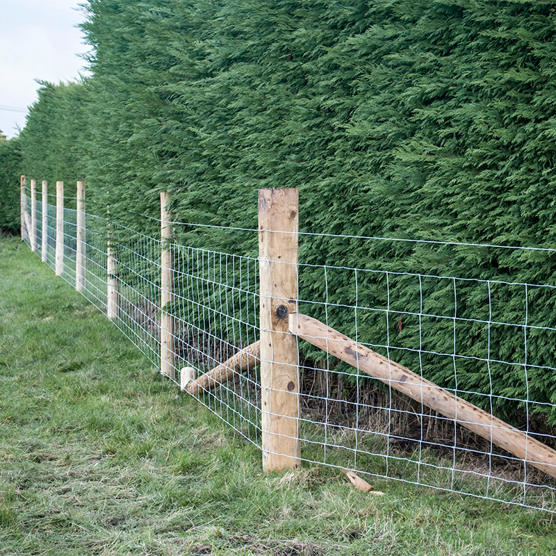 Customized Iron Wire Mesh Fixe - Agriculture Farming And Livestock บทวิจารณ์และราคา