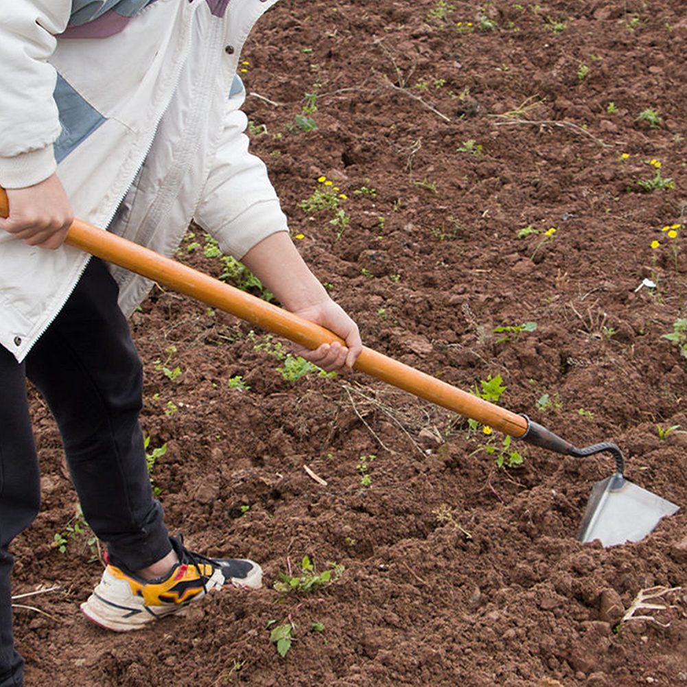 Handmade plows, rakes, hoes, h - Agriculture Farming Hand Tools บทวิจารณ์และราคา