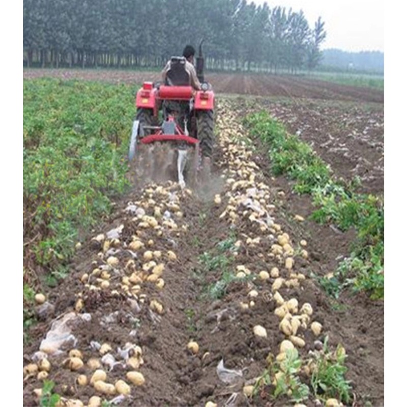 Harvester four-wheel tractor p - Tractor Implement บทวิจารณ์และราคา