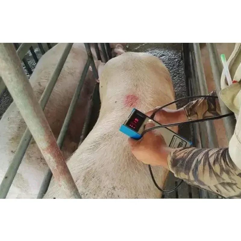 Precision Pig Back Fat Detecto - Agriculture Farming And Livestock บทวิจารณ์และราคา