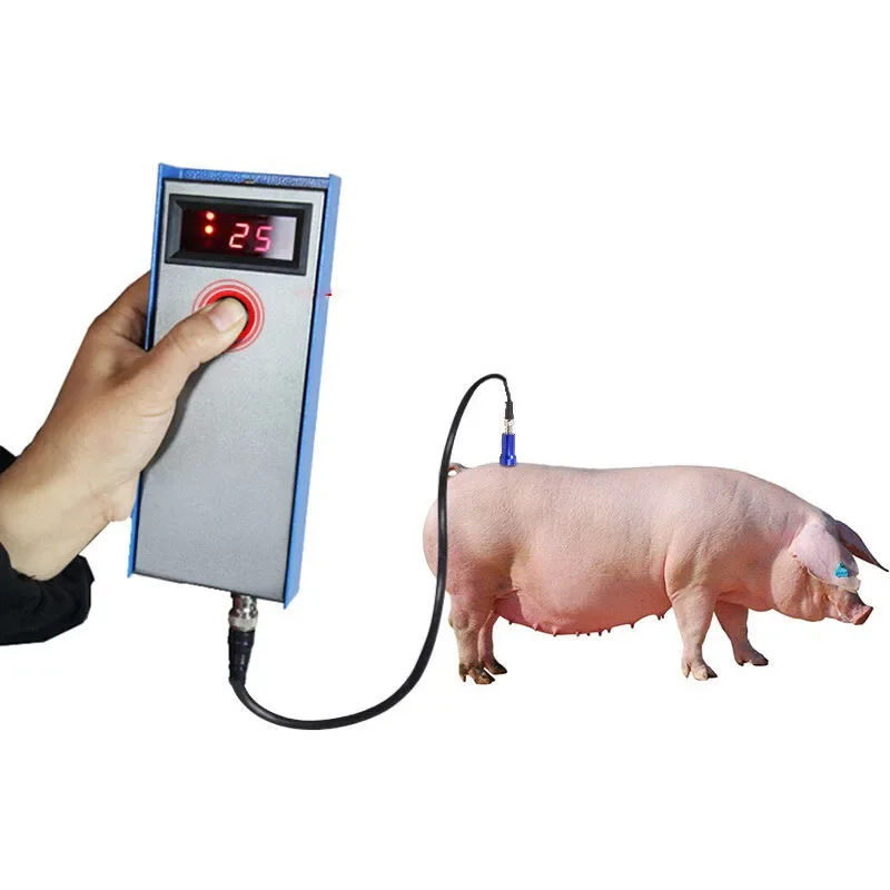 Precision Pig Back Fat Detecto - Agriculture Farming And Livestock บทวิจารณ์และราคา