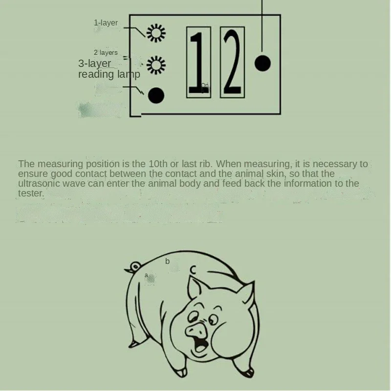 Precision Pig Back Fat Detecto - Agriculture Farming And Livestock บทวิจารณ์และราคา