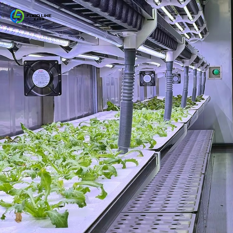Customized Custom Container Fa - Organic Farming Of Agriculture บทวิจารณ์และราคา