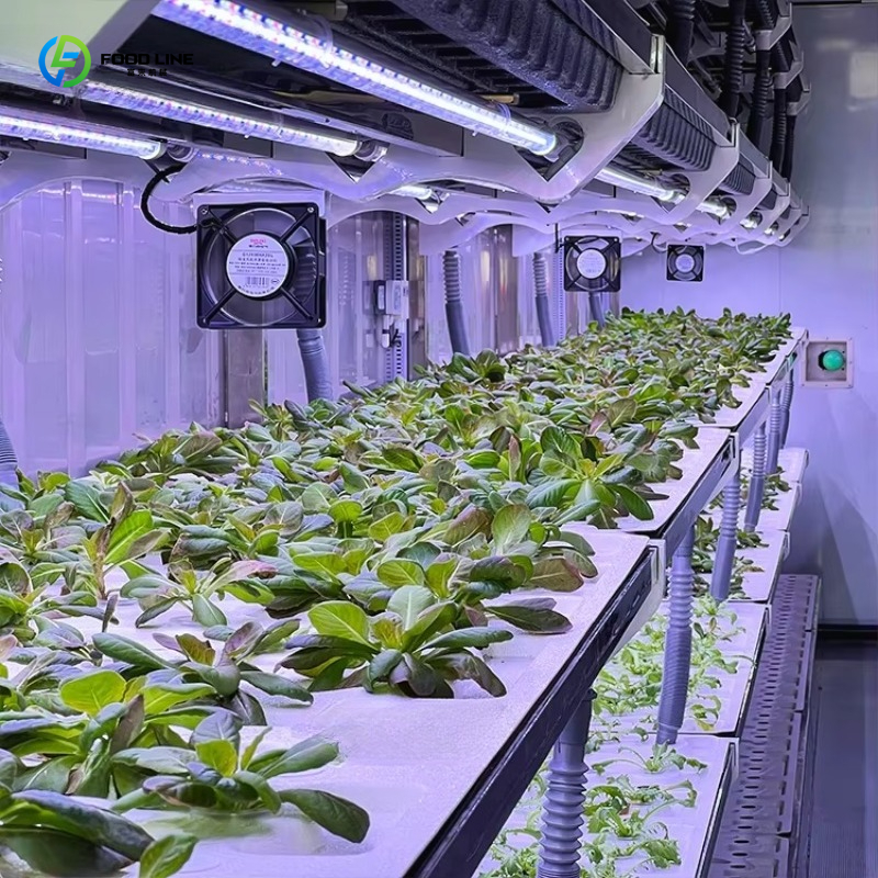 Customized Custom Container Fa - Organic Farming Of Agriculture บทวิจารณ์และราคา